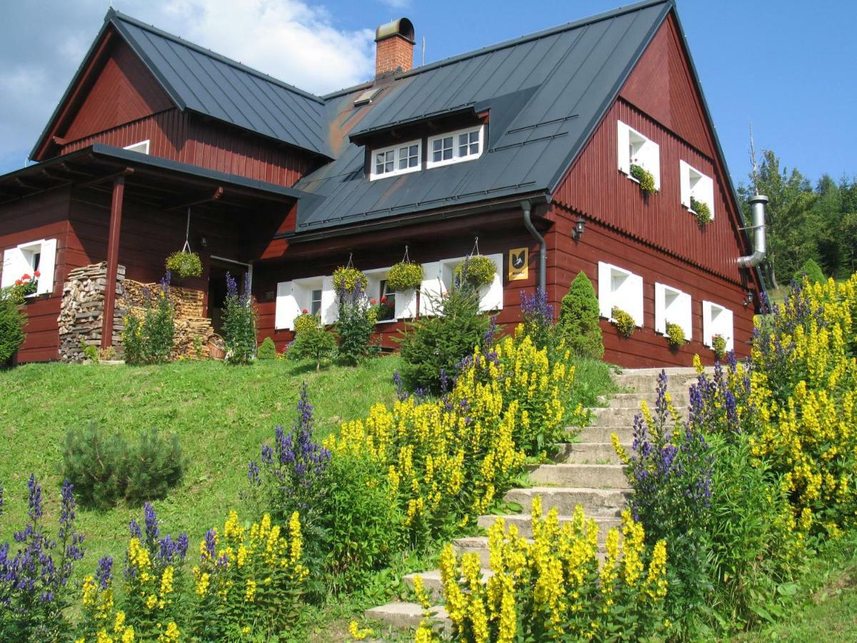 Horsky Penzion Cernava Horní Malá Úpa Eksteriør billede